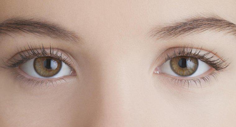 Was verursacht Augenzittern?
