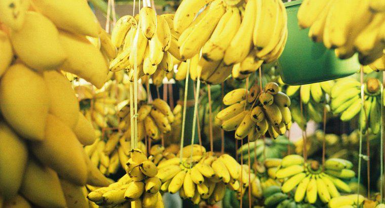 Wie viele Bananen sind in einem Pfund?