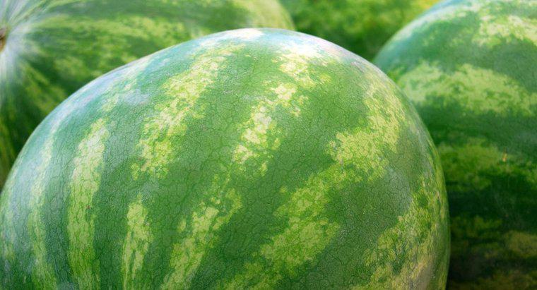 Wie viel wiegt eine durchschnittliche Wassermelone?