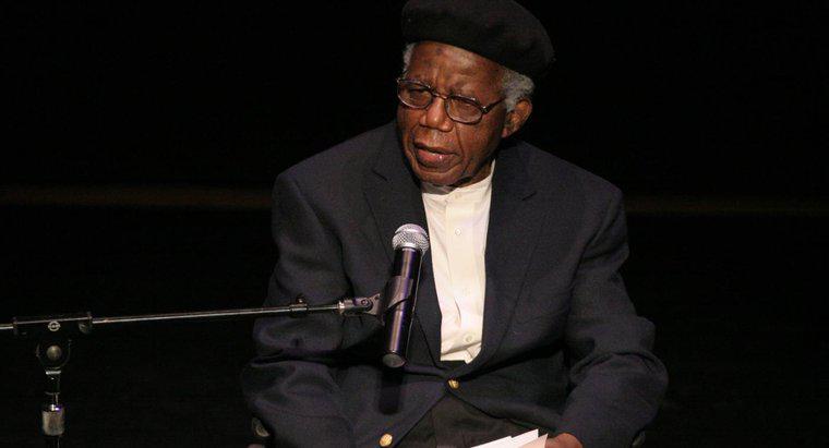 Worum geht es in der Kurzgeschichte "The Voter" von Chinua Achebe?