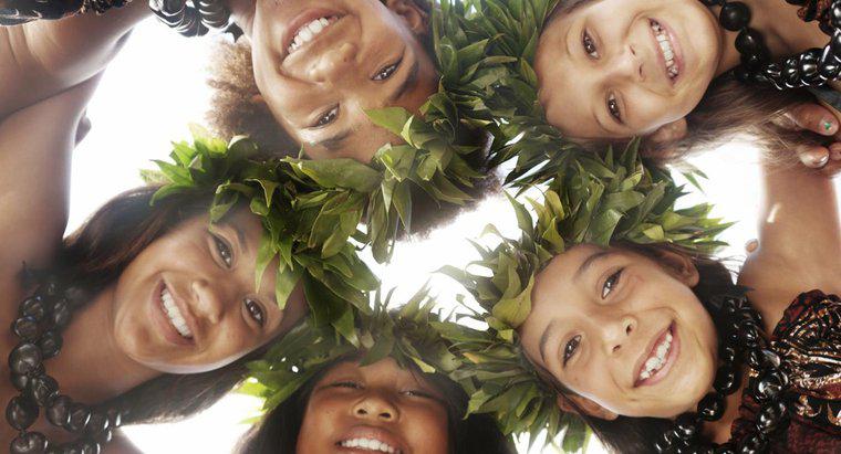Woher kamen die ursprünglichen Hawaiianer?