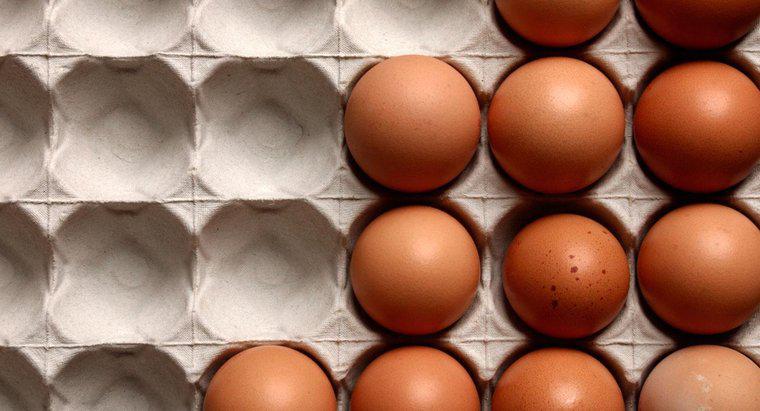Wie können Sie testen, ob ein Ei frisch oder hartgekocht ist?