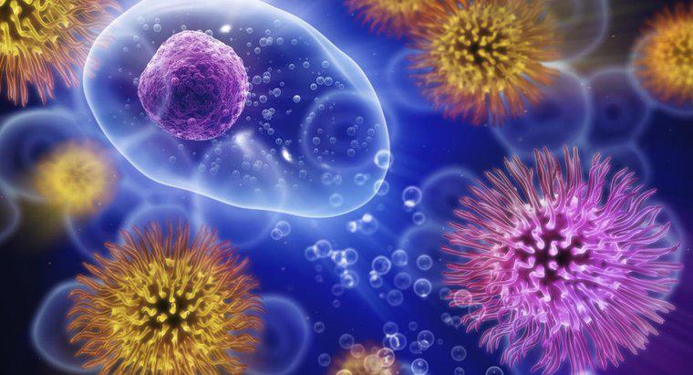 Wie lange kann das Erkältungsvirus außerhalb des Körpers leben?
