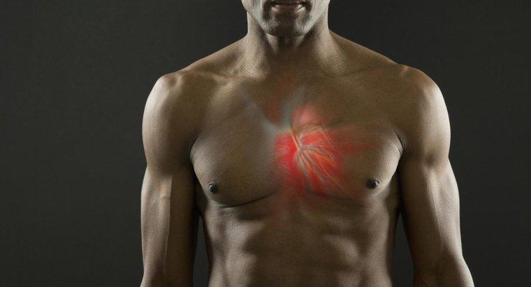 Kann der Herzmuskel tetanisiert werden?