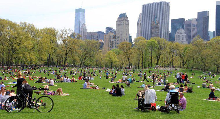 Wie groß ist der Central Park in New York City?
