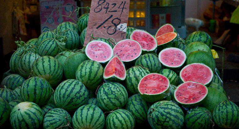 Welche Art von Dünger eignet sich am besten für Wassermelonen?
