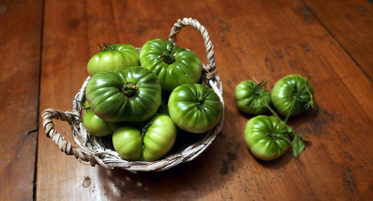 Wie friert man grüne Tomaten ein?