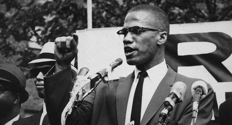 Wofür kämpfte Malcolm X?