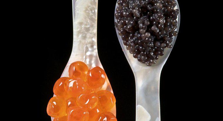 Aus welchem ​​Fisch kommt Kaviar?
