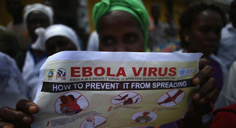 Wie können sich Menschen vor der Ebola-Virus-Krankheit schützen?