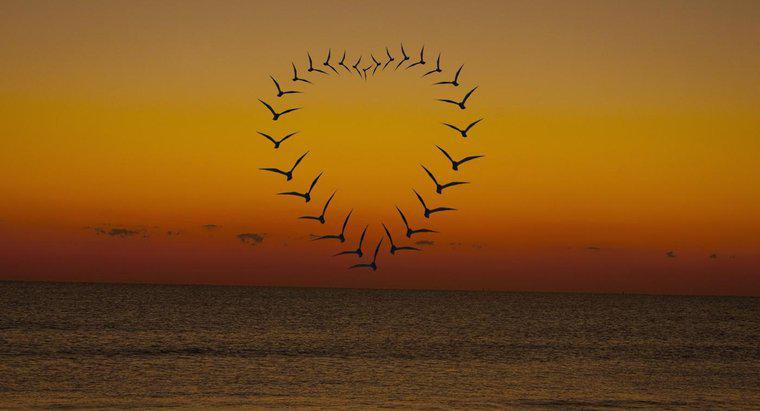 Was symbolisiert ein geflügeltes Herz?