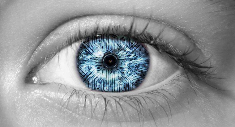 Was ermöglicht dem menschlichen Auge, Farben zu sehen?
