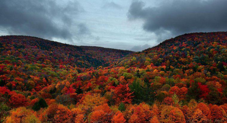 Wie ist das Klima in Vermont im Herbst?
