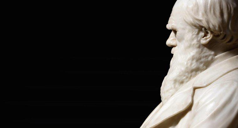 Wo ging Charles Darwin zur Schule?
