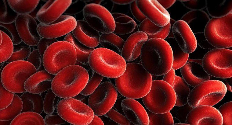 Was verursacht eine niedrige Anzahl roter Blutkörperchen?
