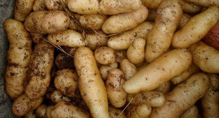 Wie produziert eine Kartoffel Strom?
