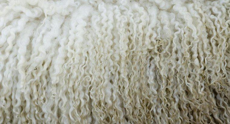 Was ist der Unterschied zwischen Schurwolle und normaler Wolle?