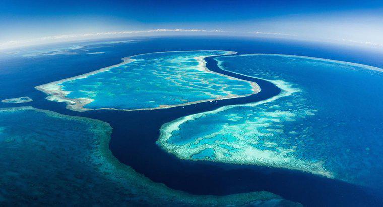 Wie lang ist das Great Barrier Reef?
