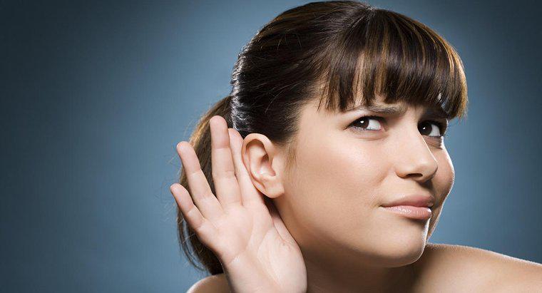 Was ist die höchste Frequenz, die ein Mensch hören kann?