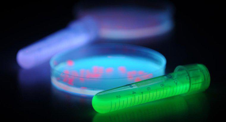 Wie hemmen UV-Glühbirnen das Bakterienwachstum?