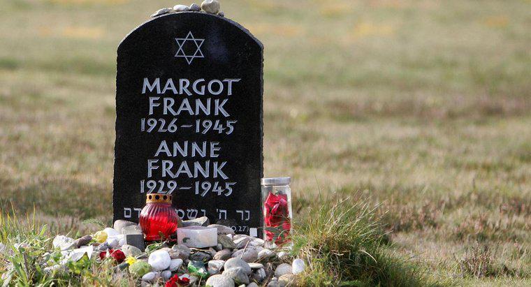 Was waren die größten Errungenschaften von Anne Frank?