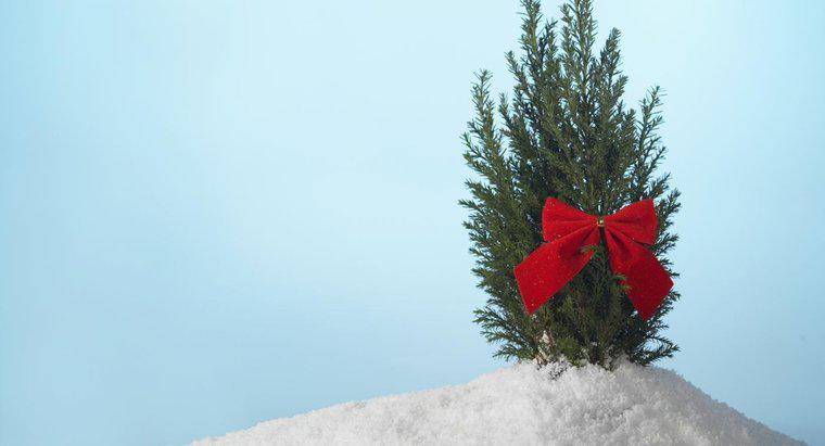 Wie hängt man das Weihnachtsbaumband auf?