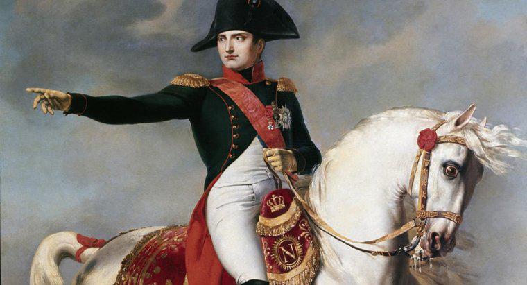 Welches Ziel der Revolution hat Napoleon erreicht?