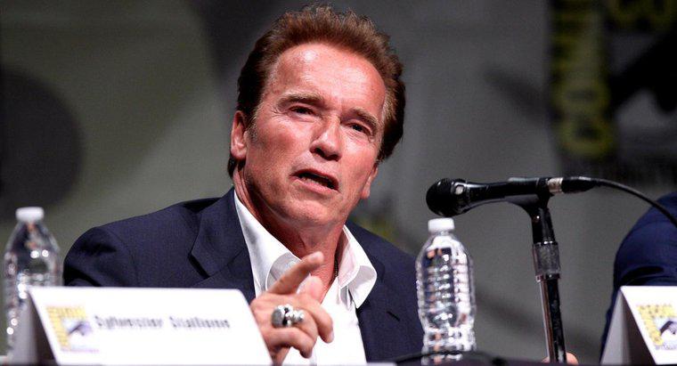 Wie viel könnte Arnold Schwarzenegger Bankdrücken?