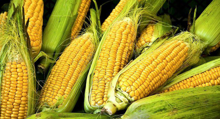 Ist Mais eine Stärke oder ein Gemüse?