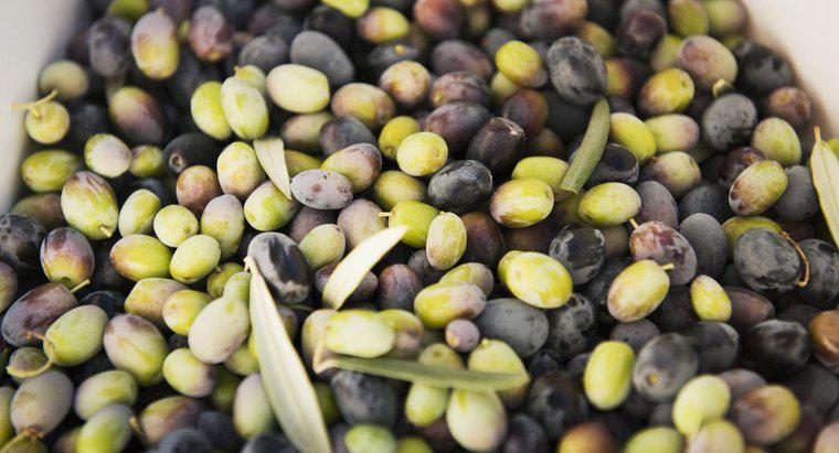 Sind rohe Oliven giftig?