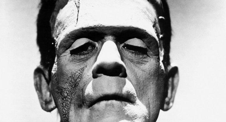 Warum gilt "Frankenstein" als Gothic Novel?