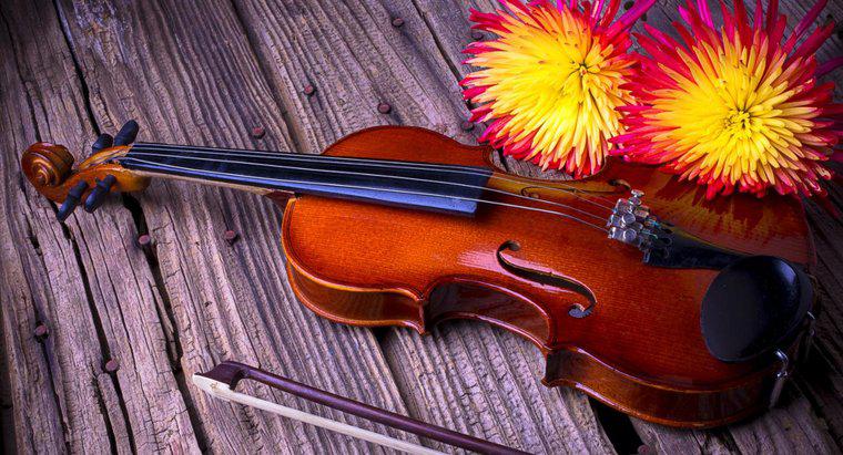 Was sind einige interessante Fakten über die Geige?