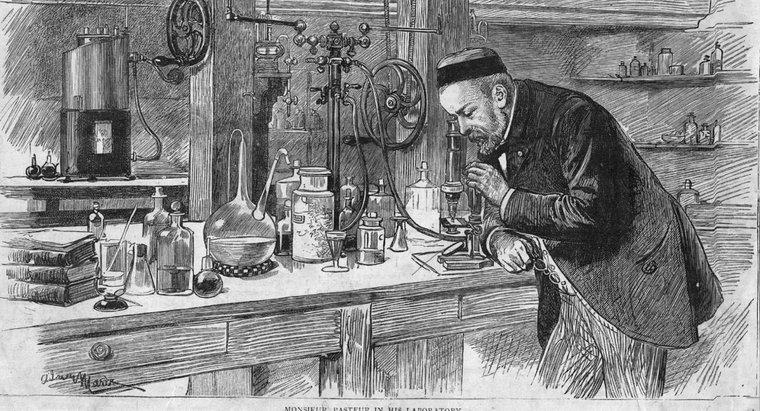 Was hat Louis Pasteur entdeckt?