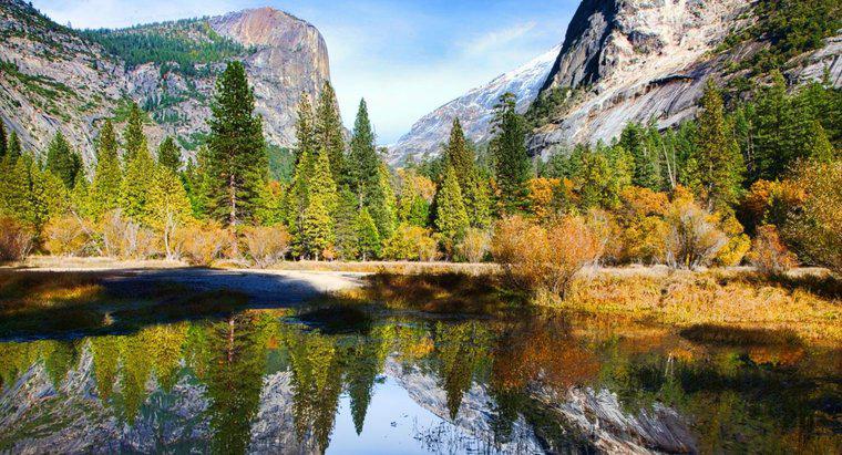 Welcher Staat hat die meisten Nationalparks?