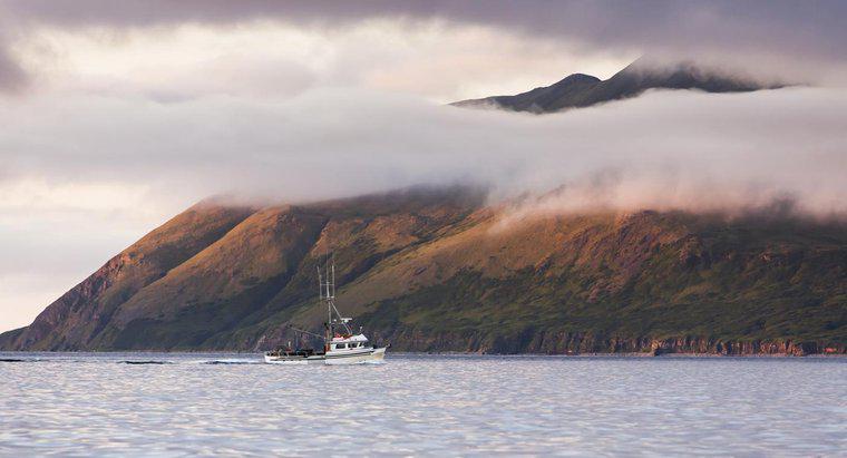 Welche Gruppe kleiner Inseln bildet den Long Tail von Alaska?